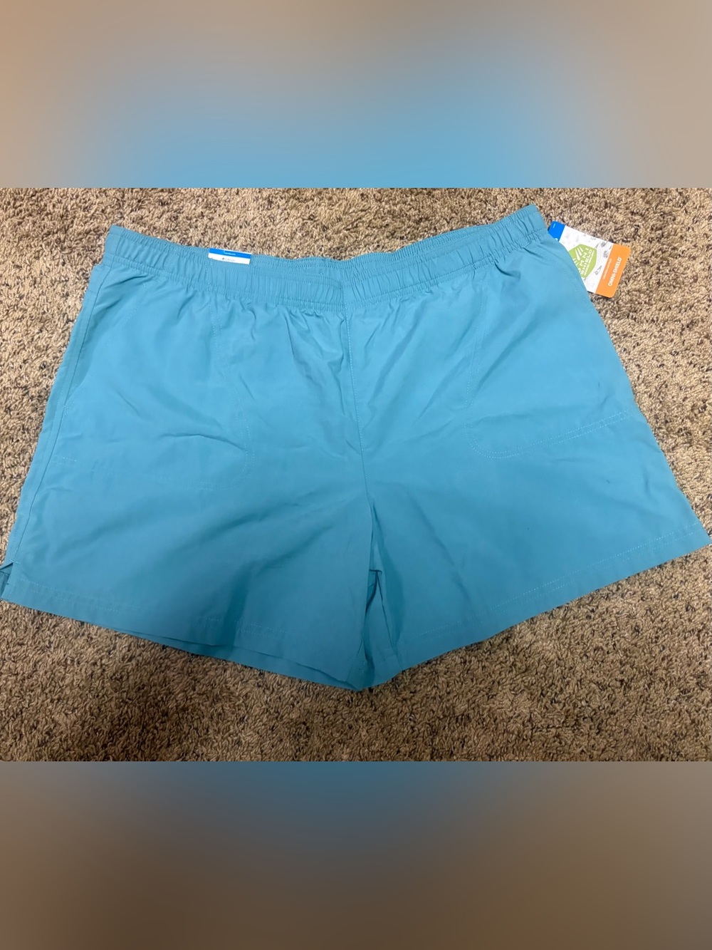 Columbia Women's Teal Athletic Shorts
